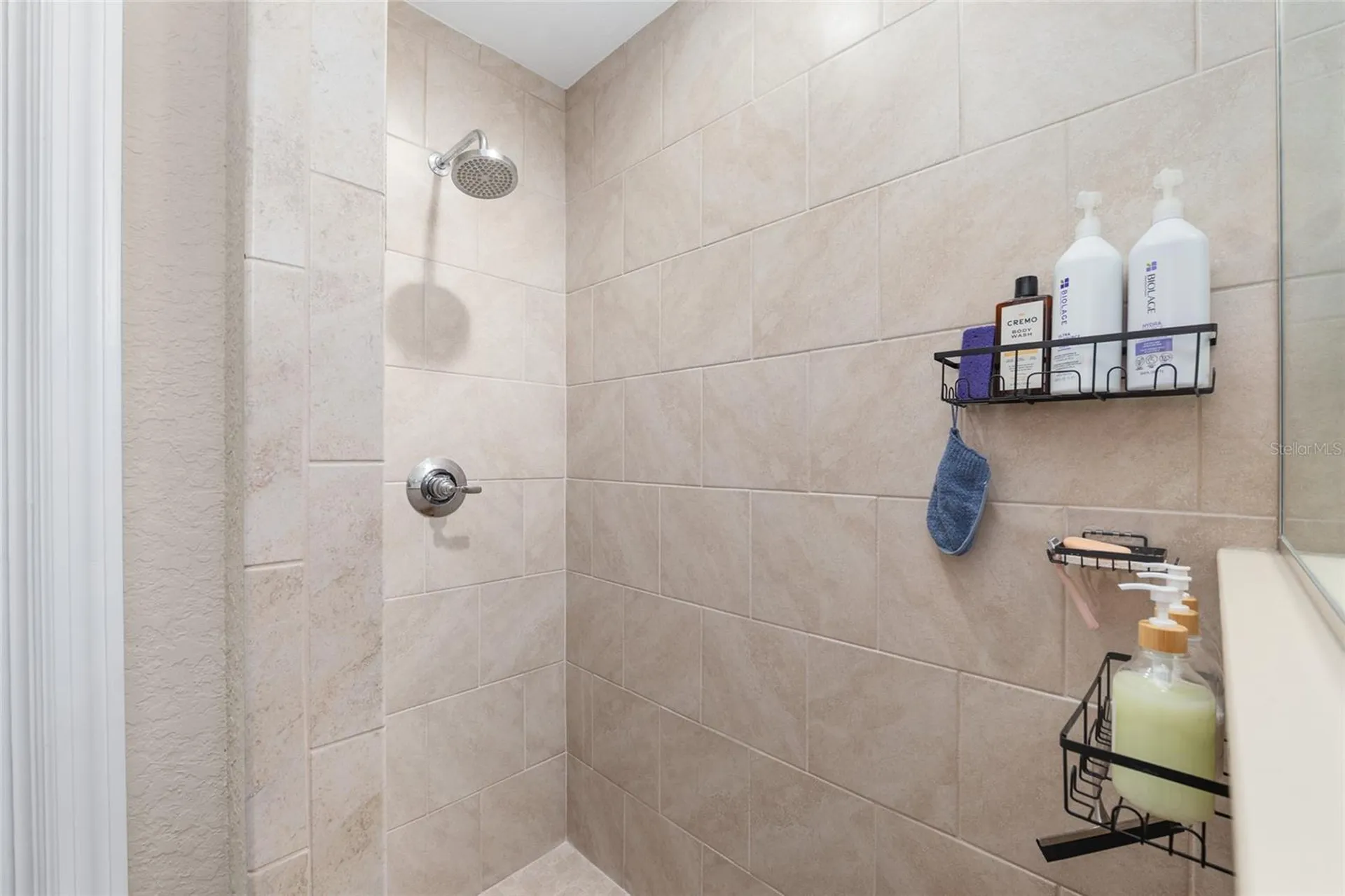 13700 SW 71st Lane Ocala FL 34481