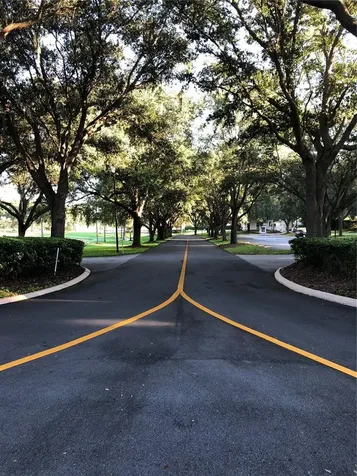 25100 Pine Hill Leesburg FL 34748
