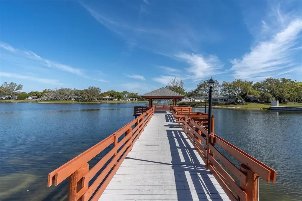 8221 Sulky Court Port Richey FL 34668