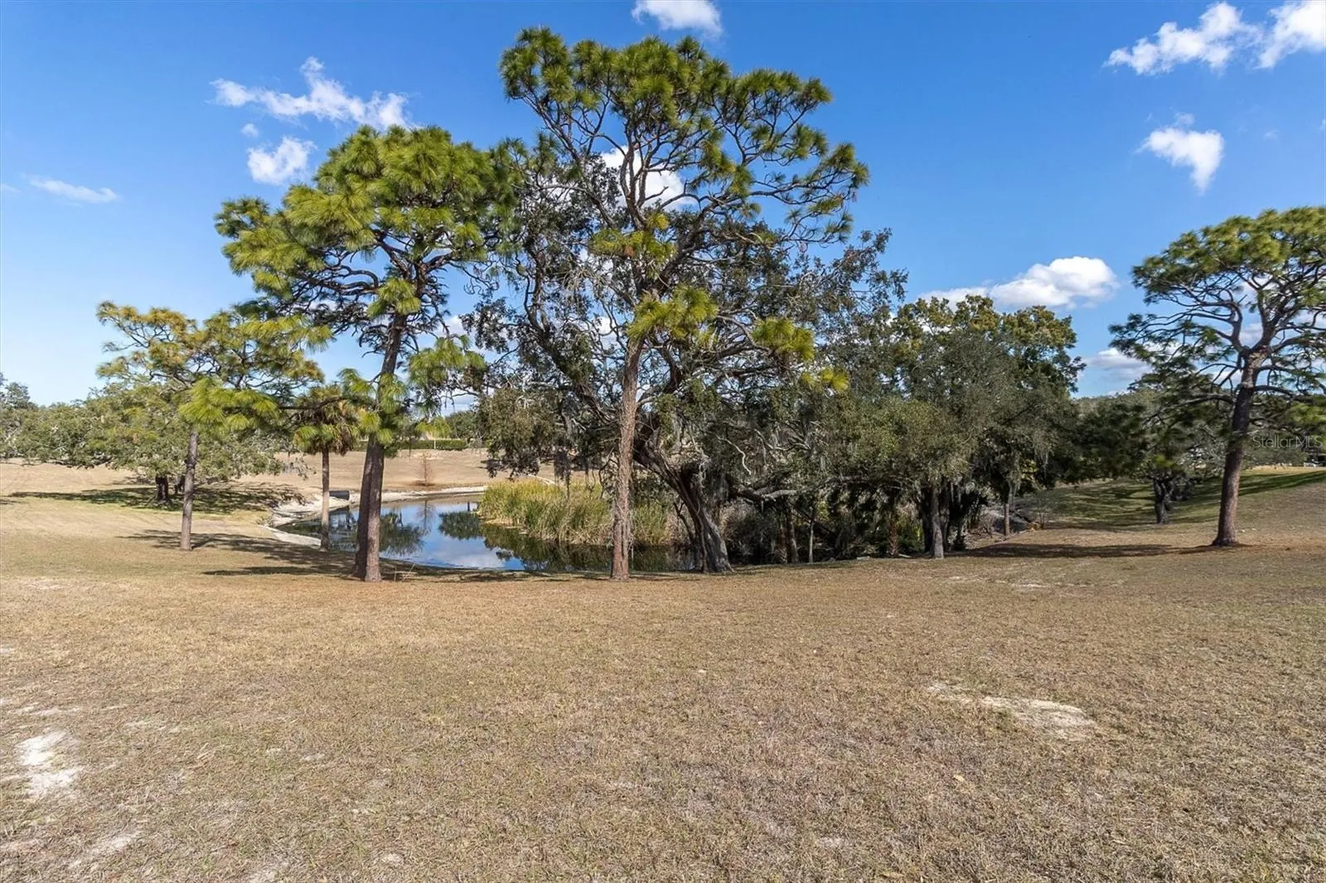 8221 Sulky Court Port Richey FL 34668