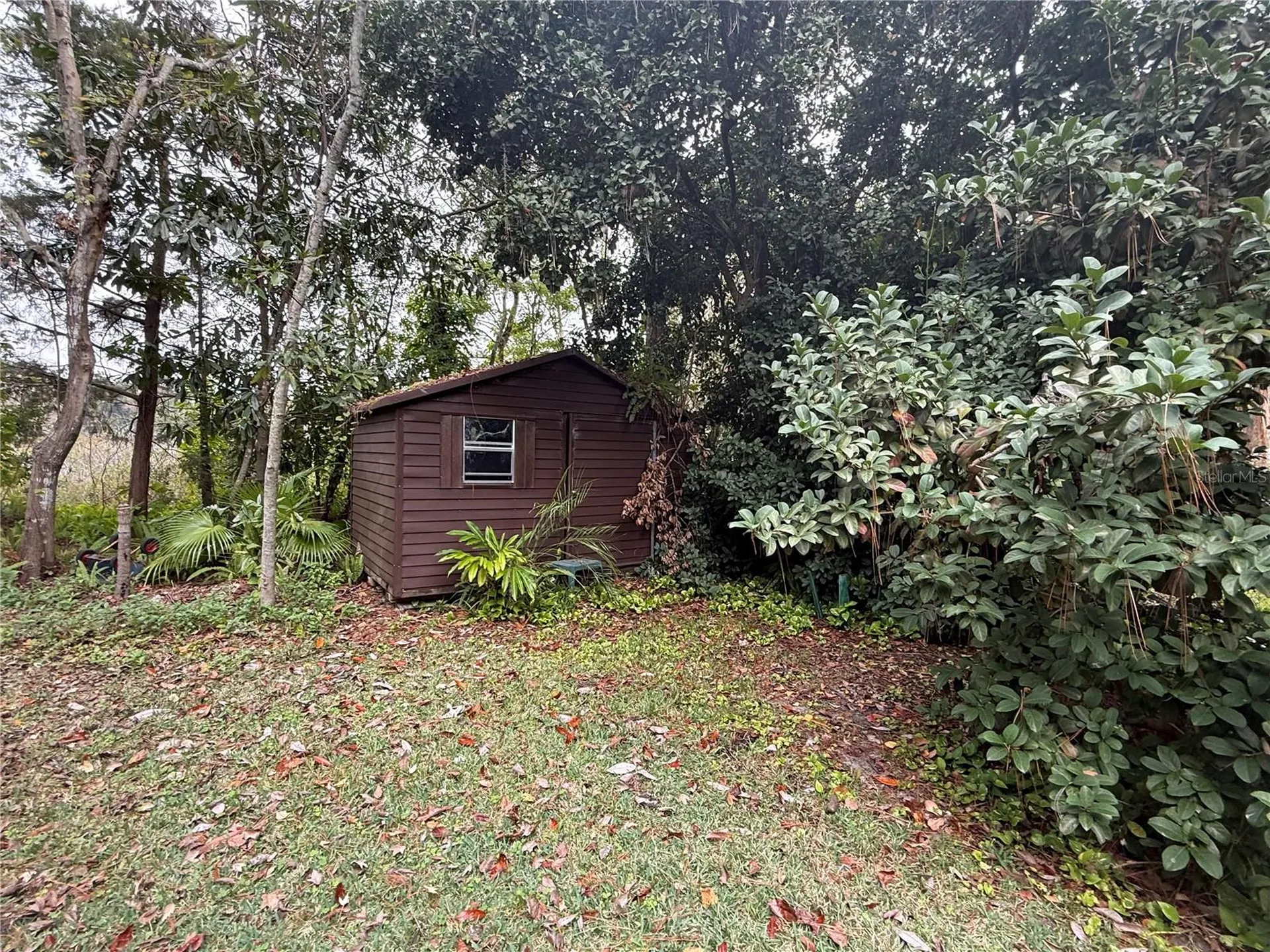 37315 Beach Drive Umatilla FL 32784