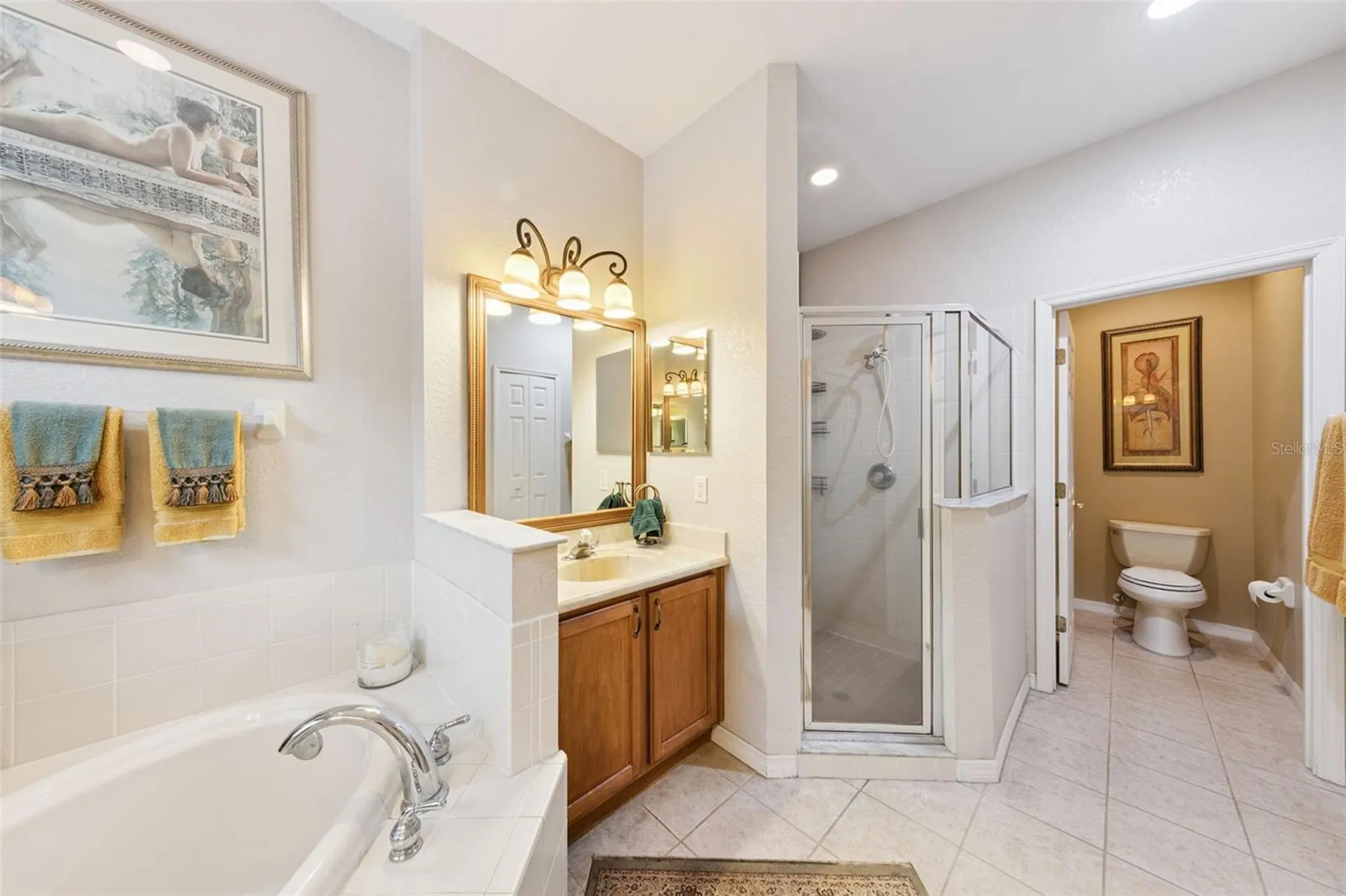 393 Lake Amberleigh Drive Winter Garden FL 34787