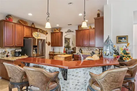 393 Lake Amberleigh Drive Winter Garden FL 34787