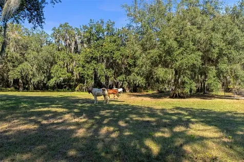 Okahumpka FL 34762