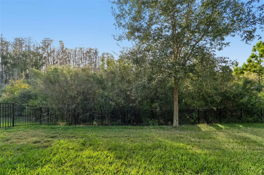 4155 Barletta Court Wesley Chapel FL 33543