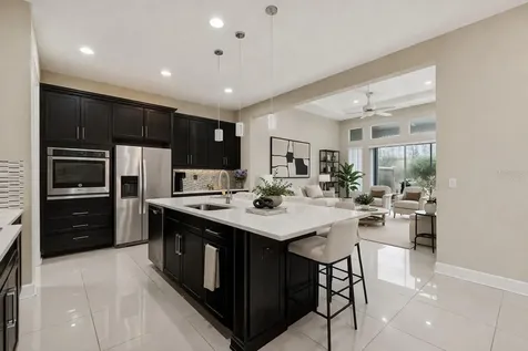 4155 Barletta Court Wesley Chapel FL 33543
