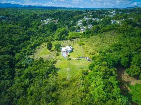 Carr 6645 Sec.narvaez Morovis PR 00687