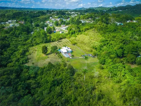 Carr 6645 Sec.narvaez Morovis PR 00687