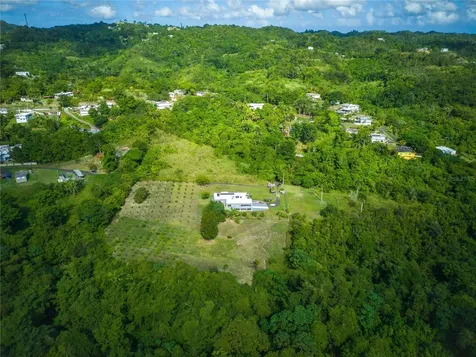 Carr 6645 Sec.narvaez Morovis PR 00687