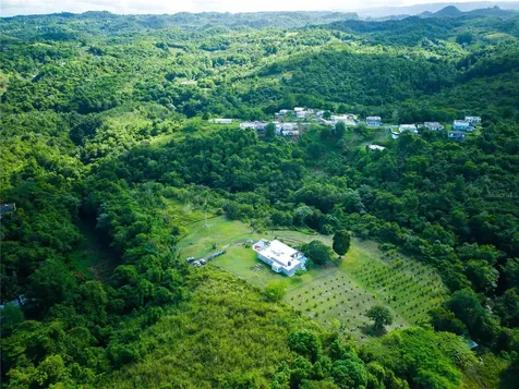 Carr 6645 Sec.narvaez Morovis PR 00687