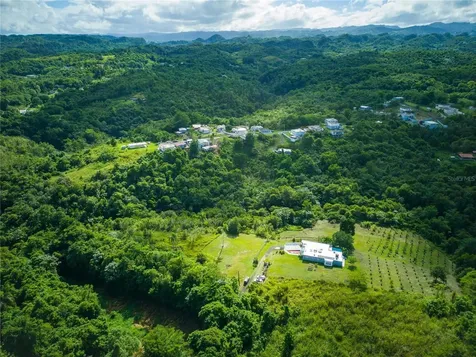 Carr 6645 Sec.narvaez Morovis PR 00687