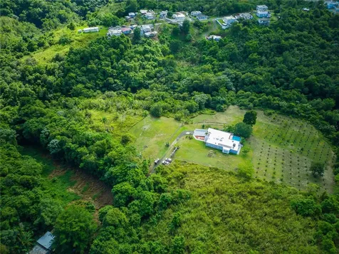 Carr 6645 Sec.narvaez Morovis PR 00687
