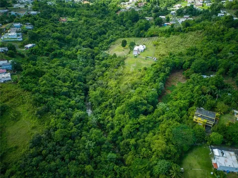 Carr 6645 Sec.narvaez Morovis PR 00687