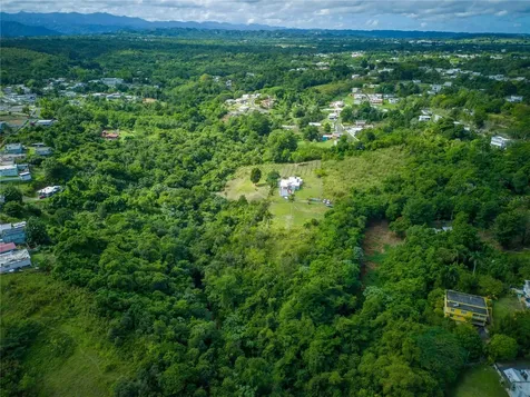 Carr 6645 Sec.narvaez Morovis PR 00687