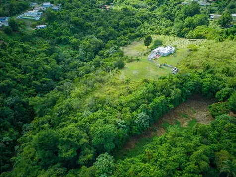 Carr 6645 Sec.narvaez Morovis PR 00687