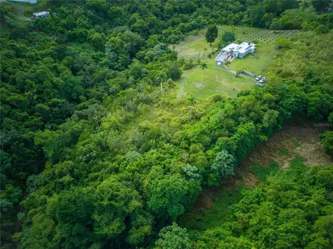 Carr 6645 Sec.narvaez Morovis PR 00687