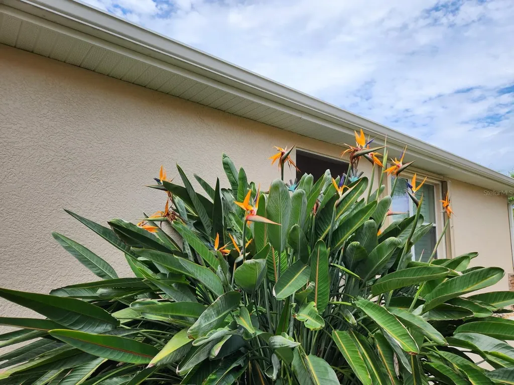 4248 Lenox Boulevard Venice FL 34293