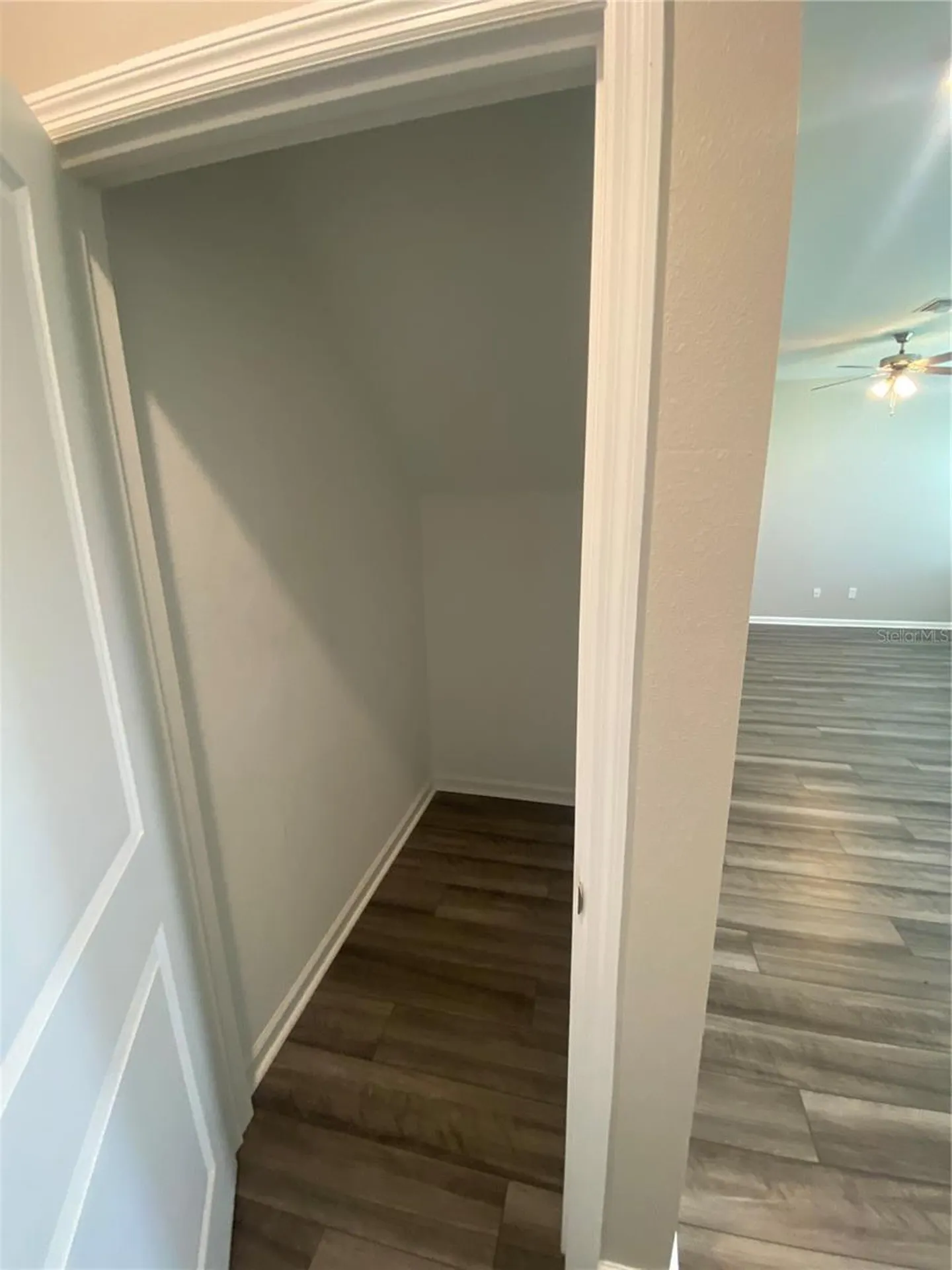 35123 White Water Lily Way Zephyrhills FL 33541