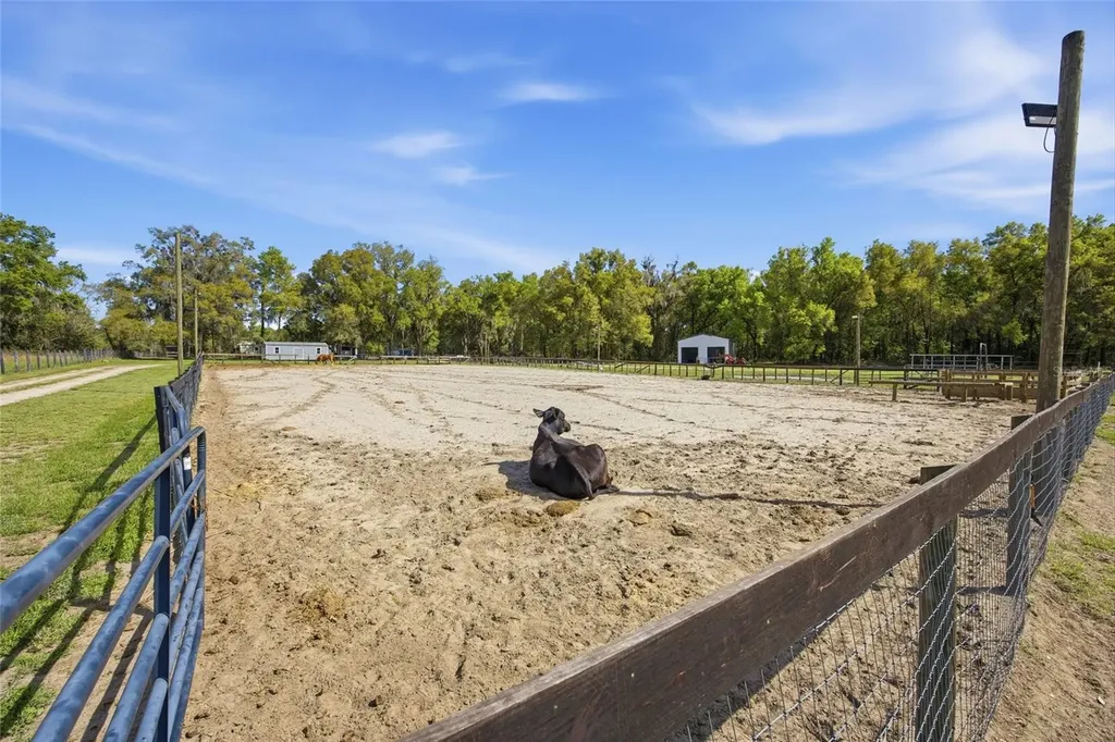 3660 W Highway 329 Reddick FL 32686