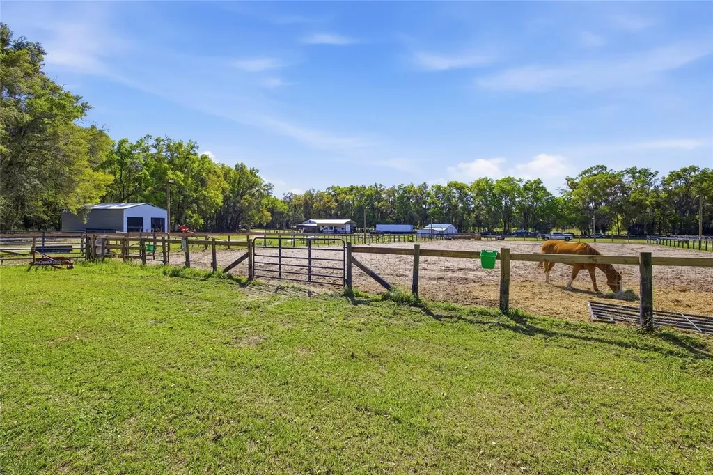 3660 W Highway 329 Reddick FL 32686