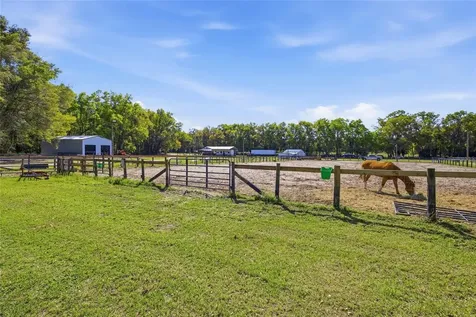3660 W Highway 329 Reddick FL 32686
