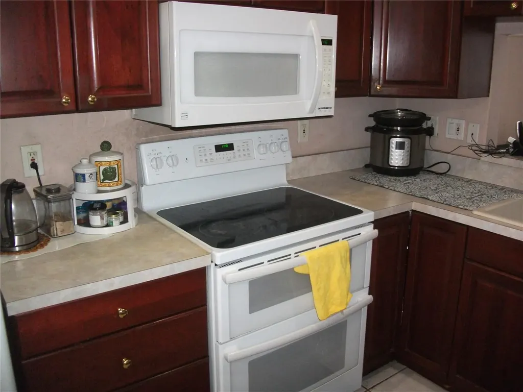 913 Michele Circle Dunedin FL 34698