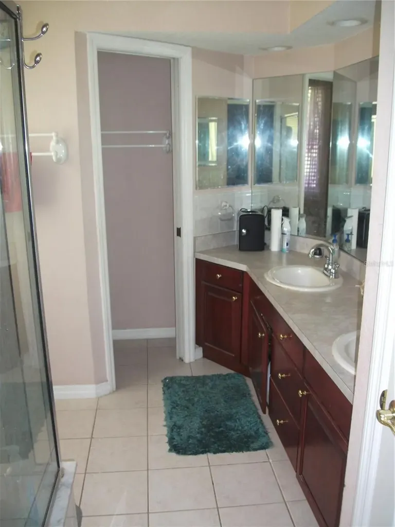 913 Michele Circle Dunedin FL 34698