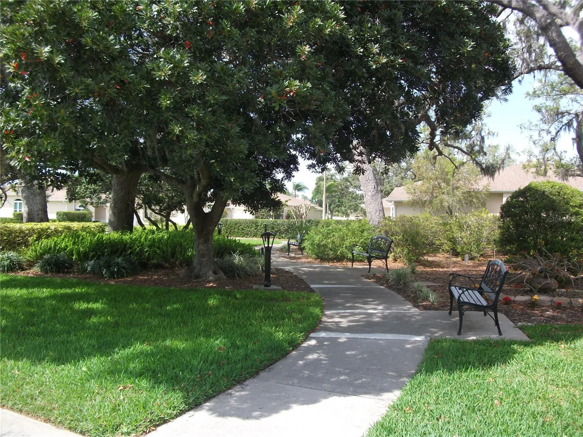 913 Michele Circle Dunedin FL 34698