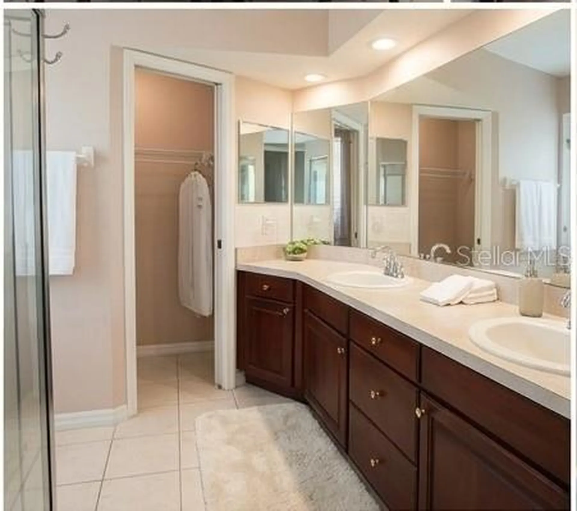 913 Michele Circle Dunedin FL 34698