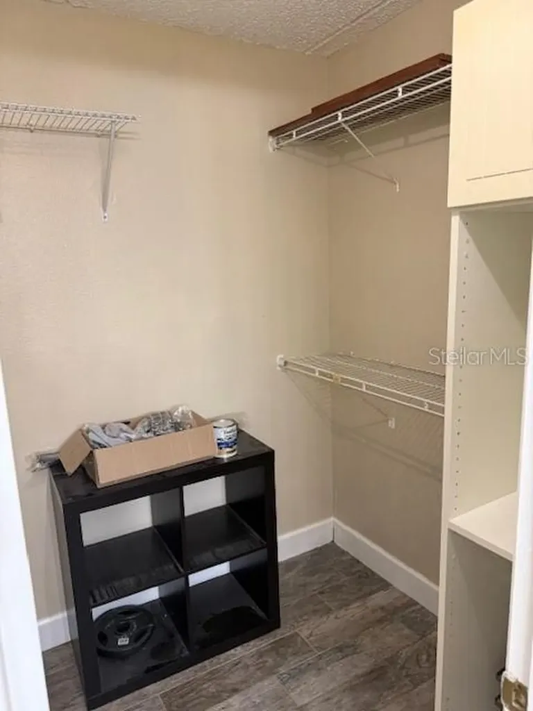 3823 N Oak Drive Tampa FL 33611