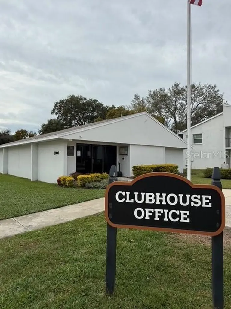 3823 N Oak Drive Tampa FL 33611