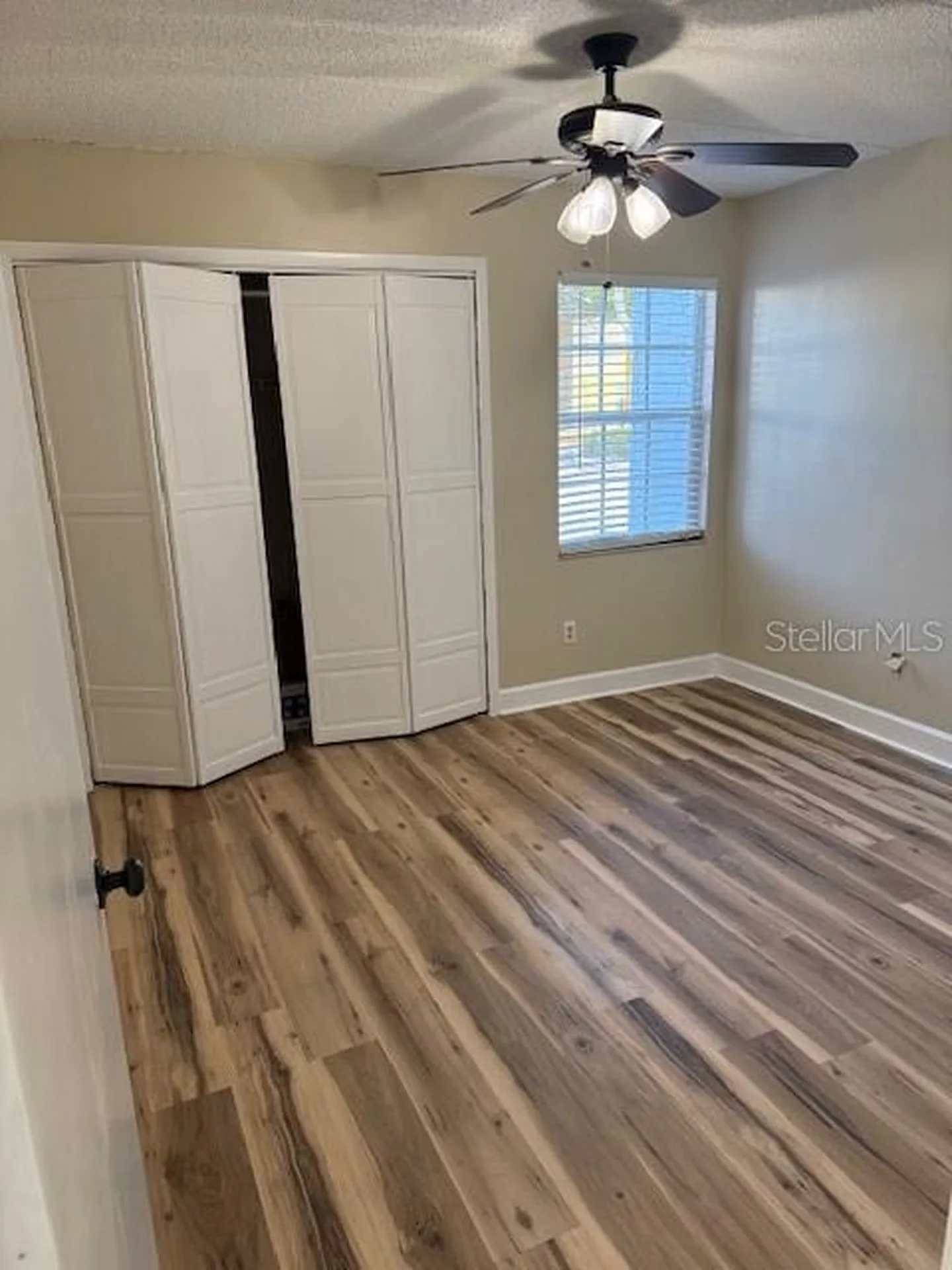 3823 N Oak Drive Tampa FL 33611