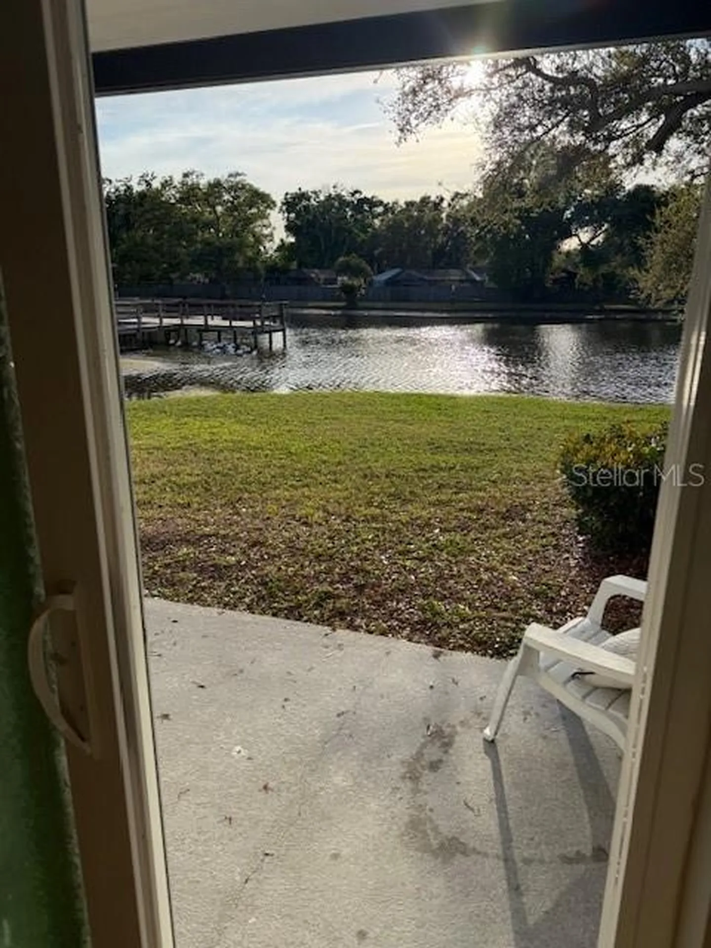 3823 N Oak Drive Tampa FL 33611