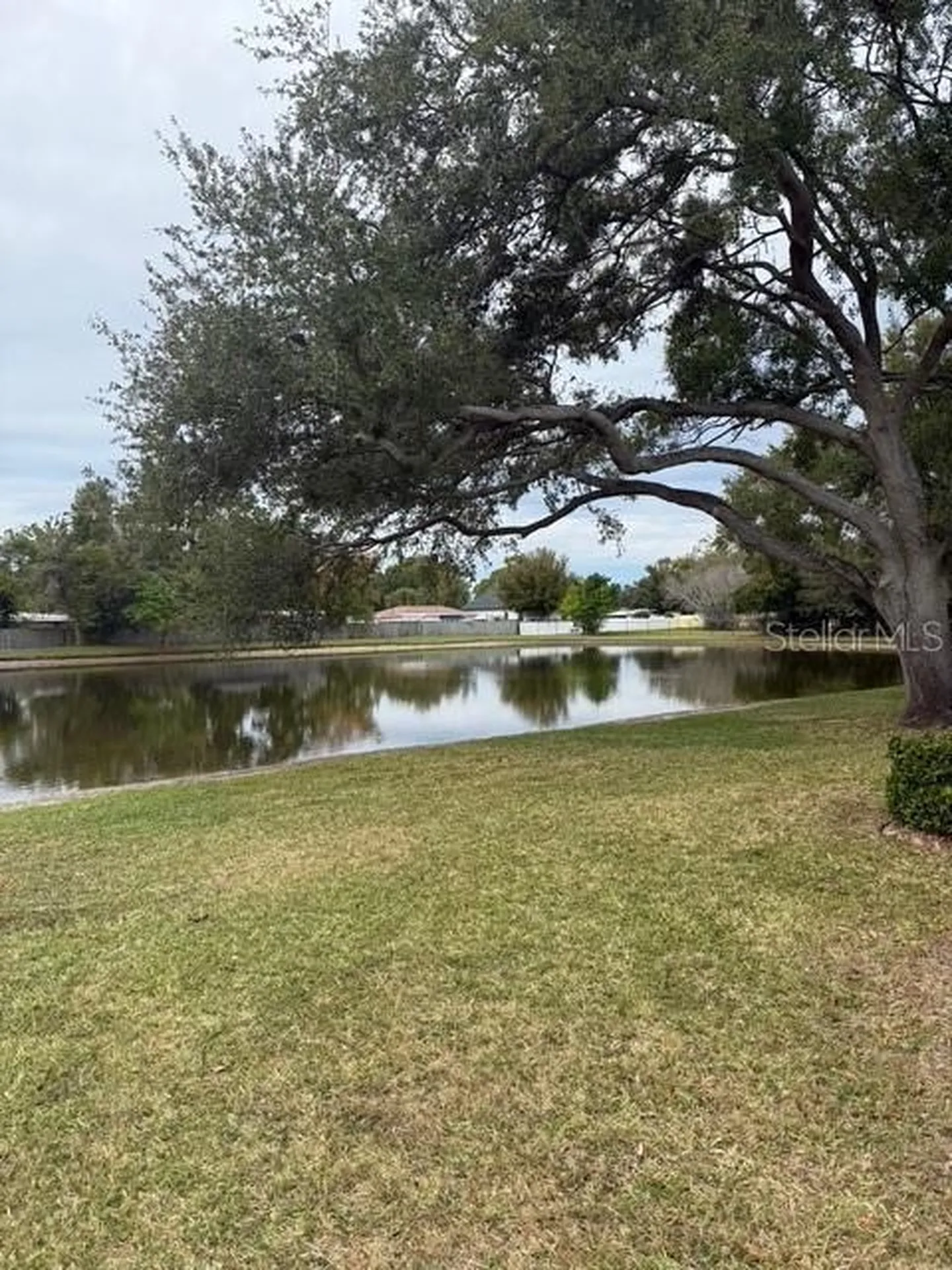 3823 N Oak Drive Tampa FL 33611