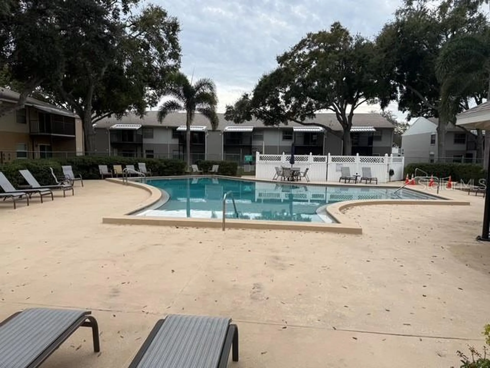3823 N Oak Drive Tampa FL 33611