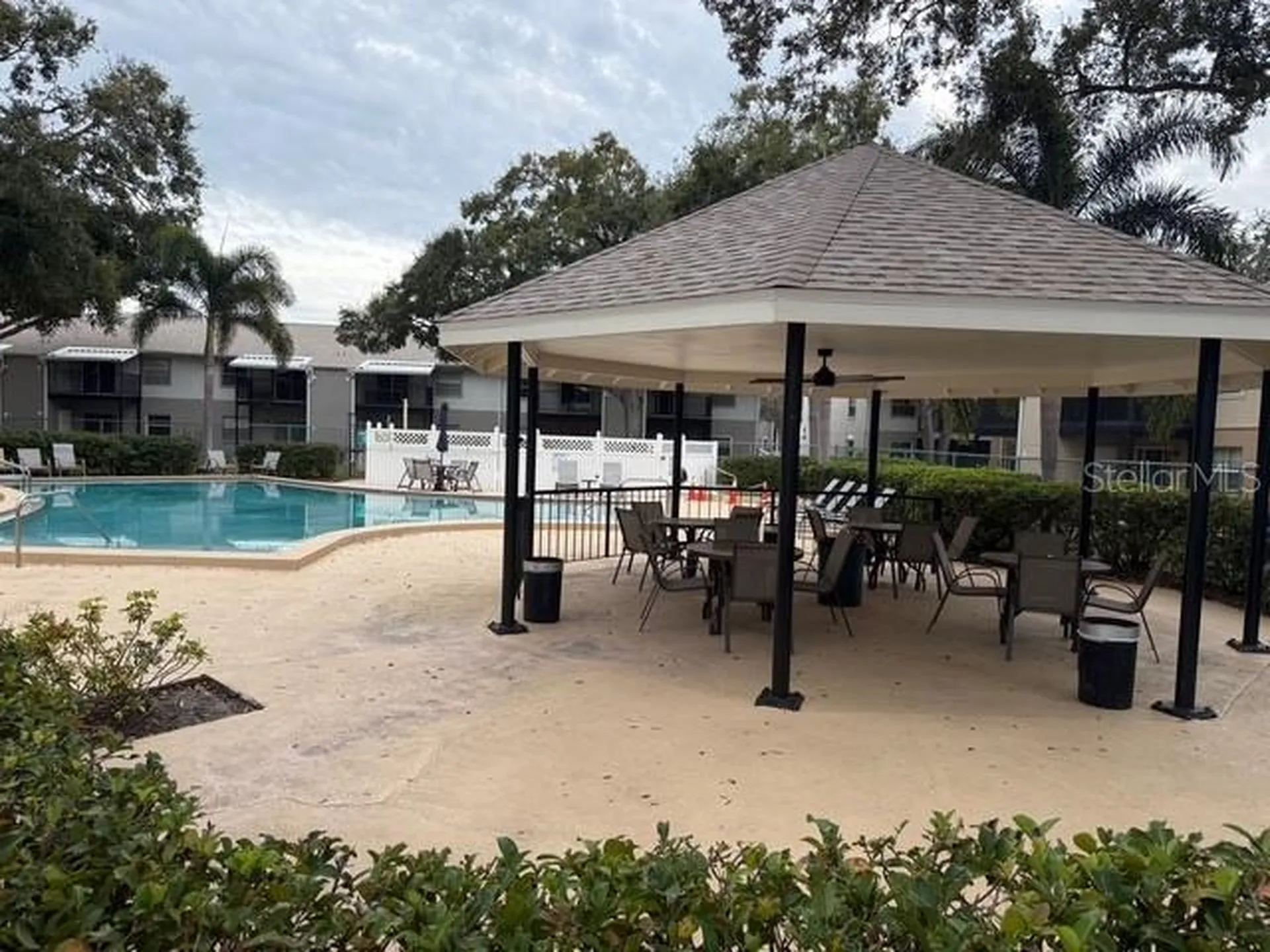 3823 N Oak Drive Tampa FL 33611