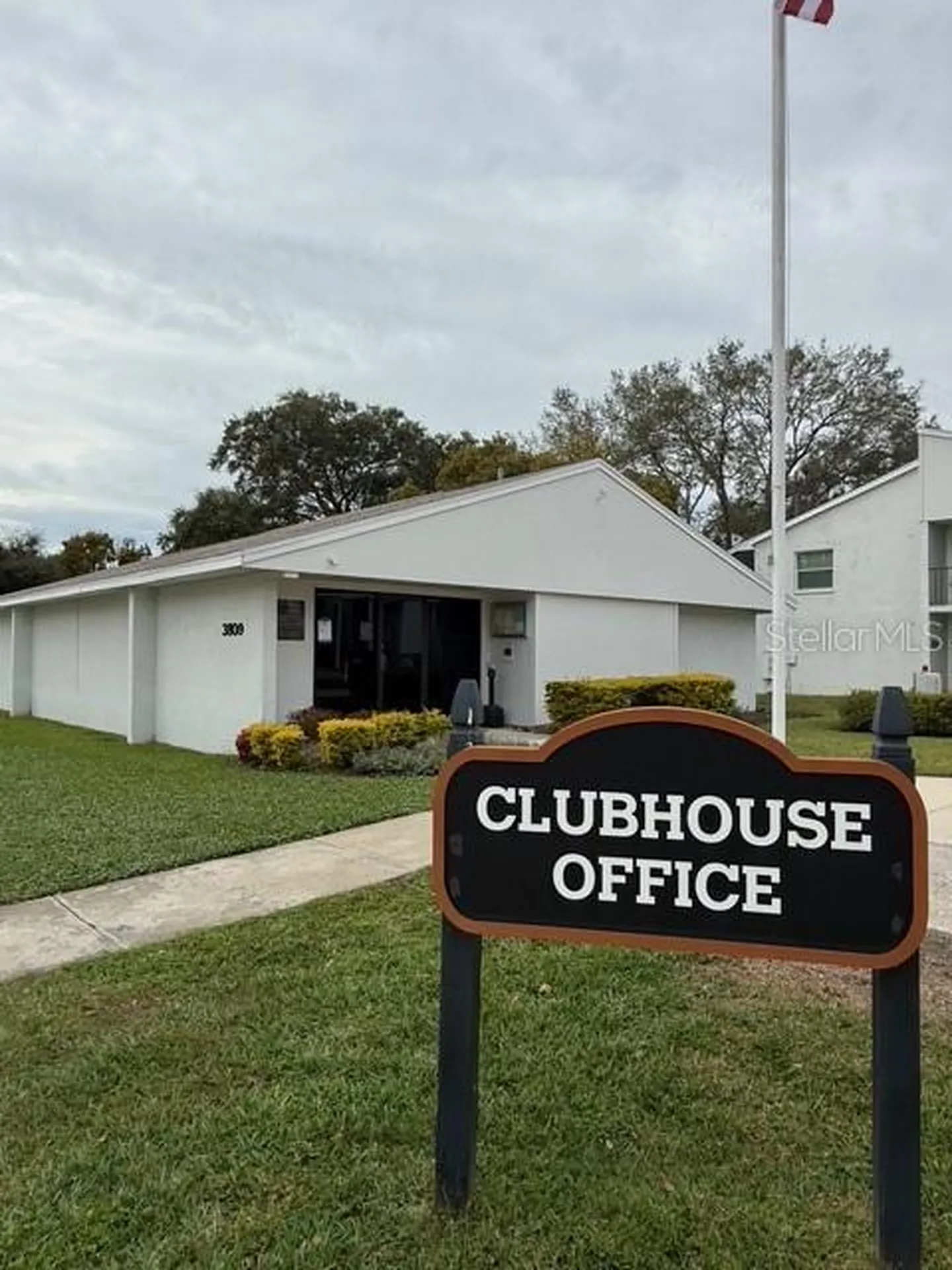 3823 N Oak Drive Tampa FL 33611