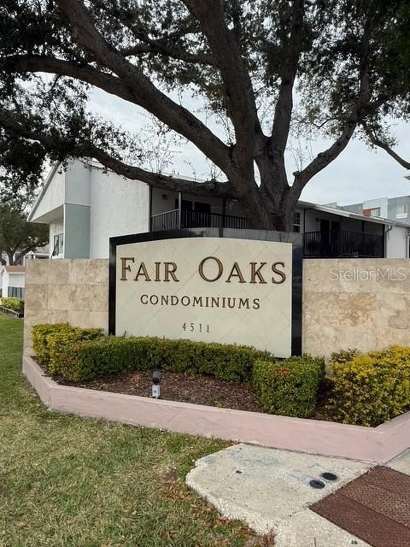 3823 N Oak Drive Tampa FL 33611