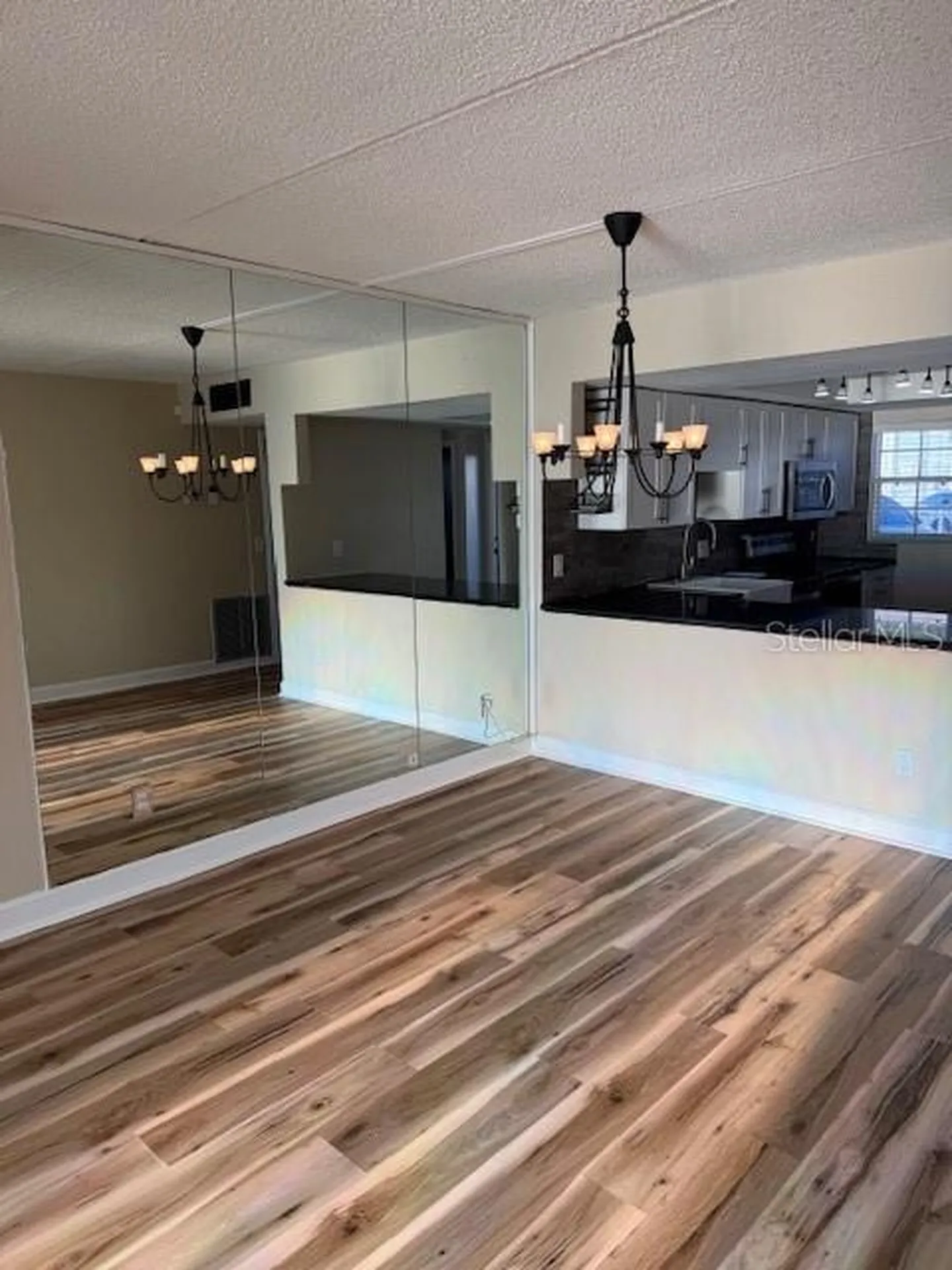 3823 N Oak Drive Tampa FL 33611