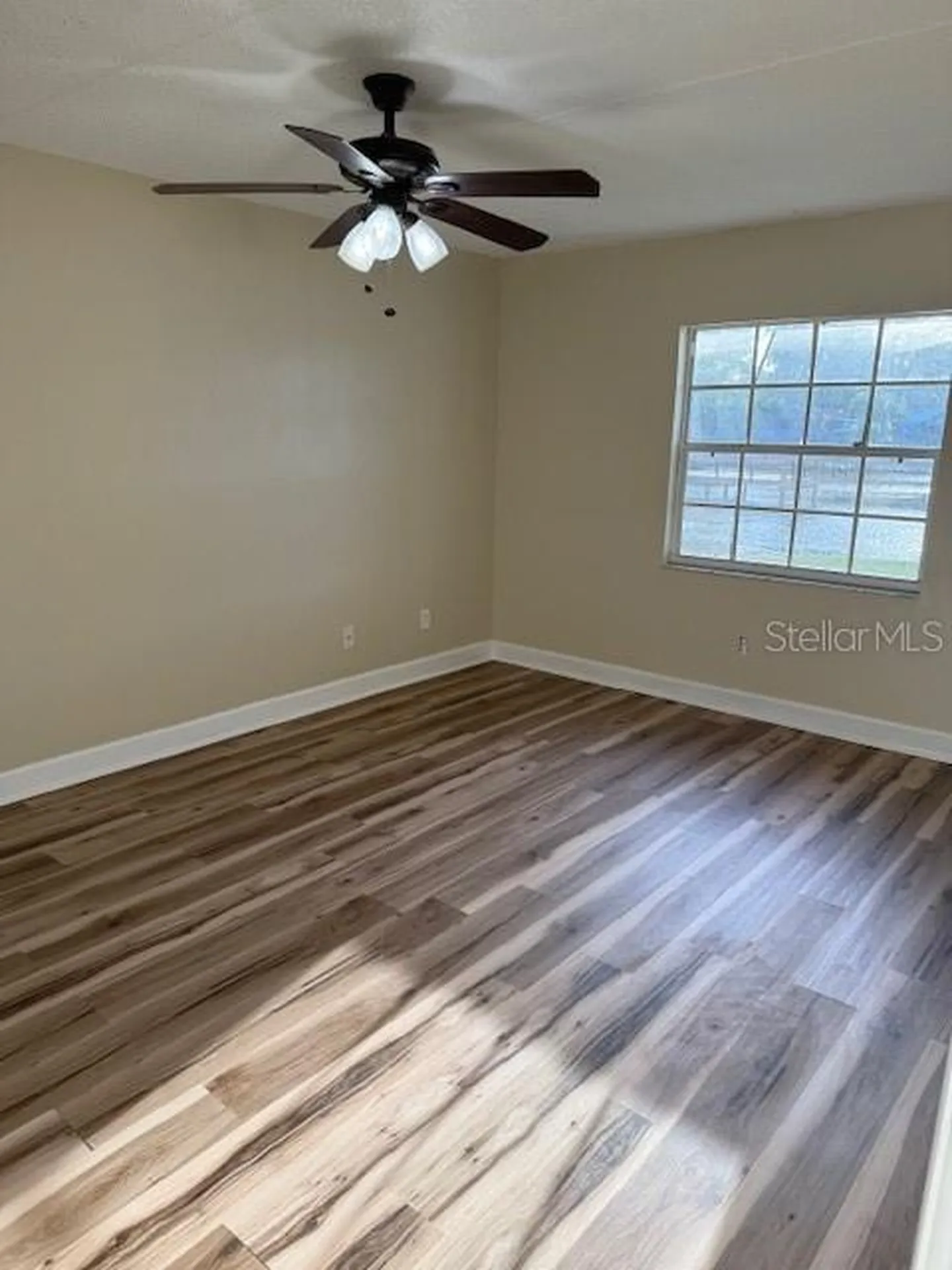 3823 N Oak Drive Tampa FL 33611