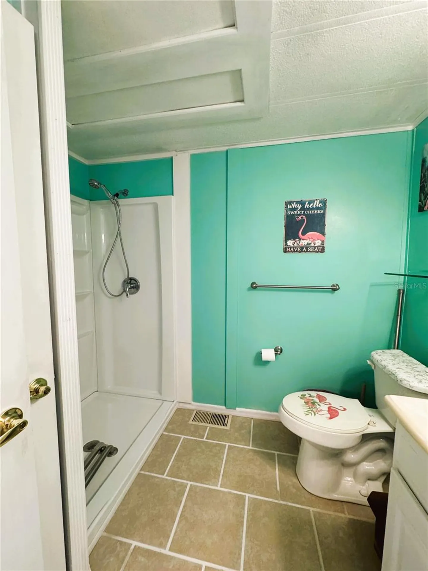 107 Royal Palm Drive Leesburg FL 34748