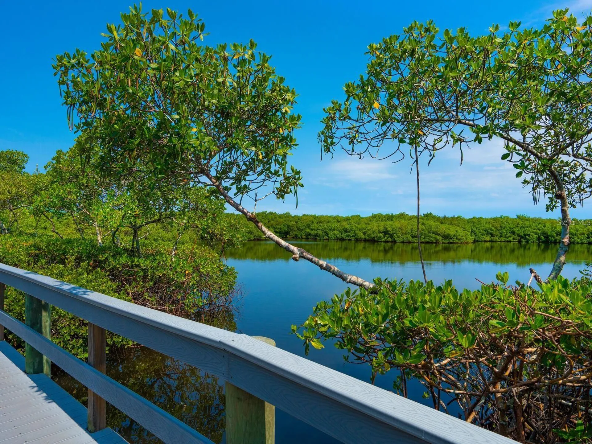 1678 Starling Drive Sarasota FL 34231