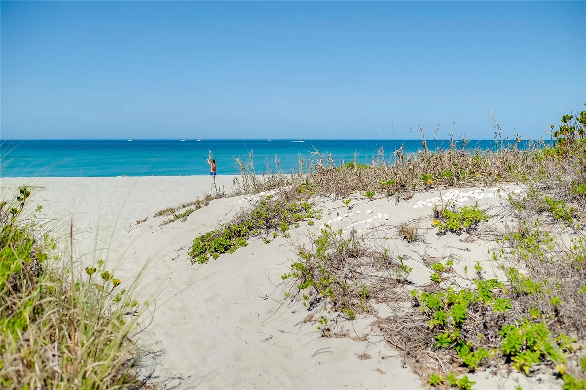 10742 Ironbridge Drive Venice FL 34293