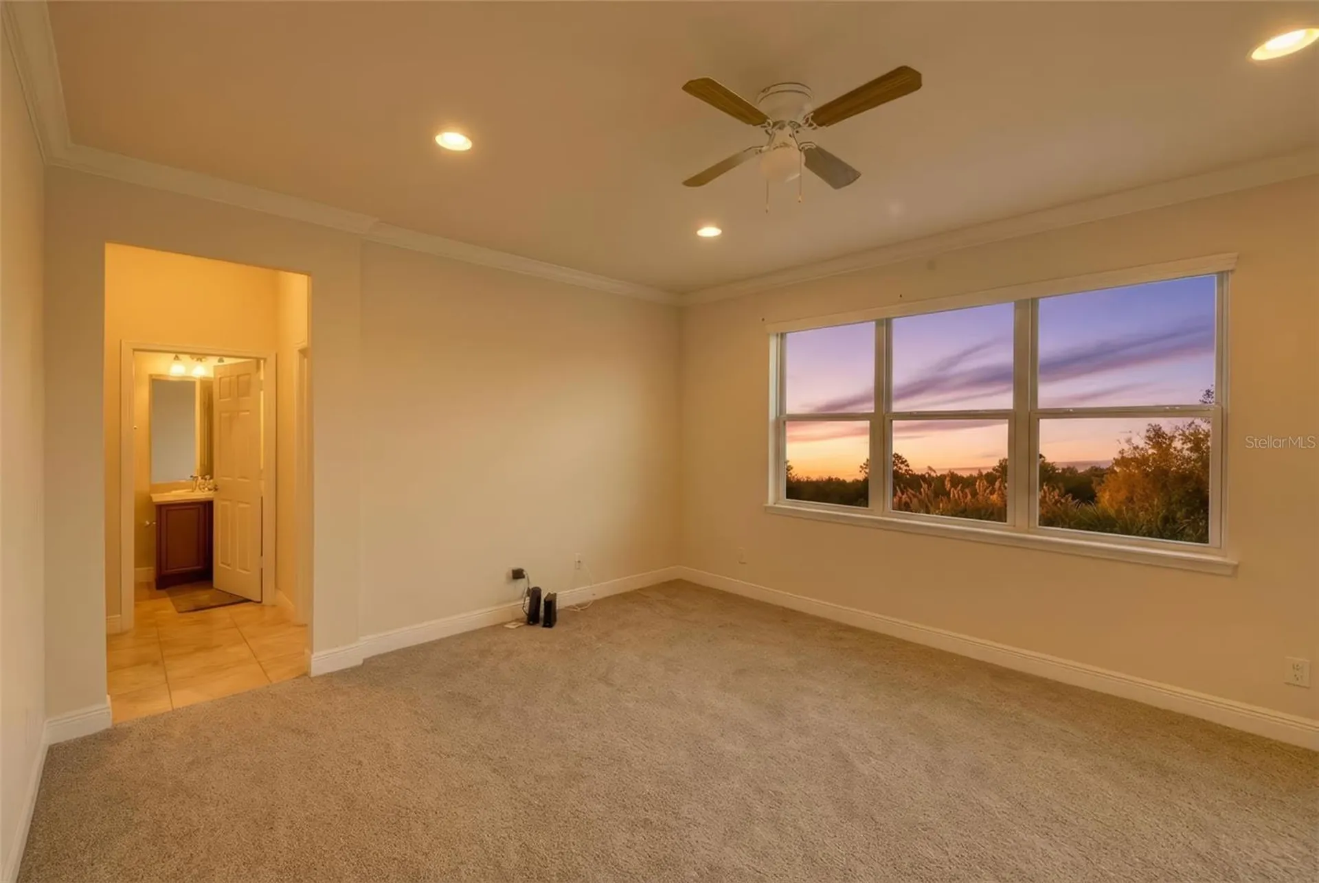 9118 Mountain Magnolia Drive Riverview FL 33578