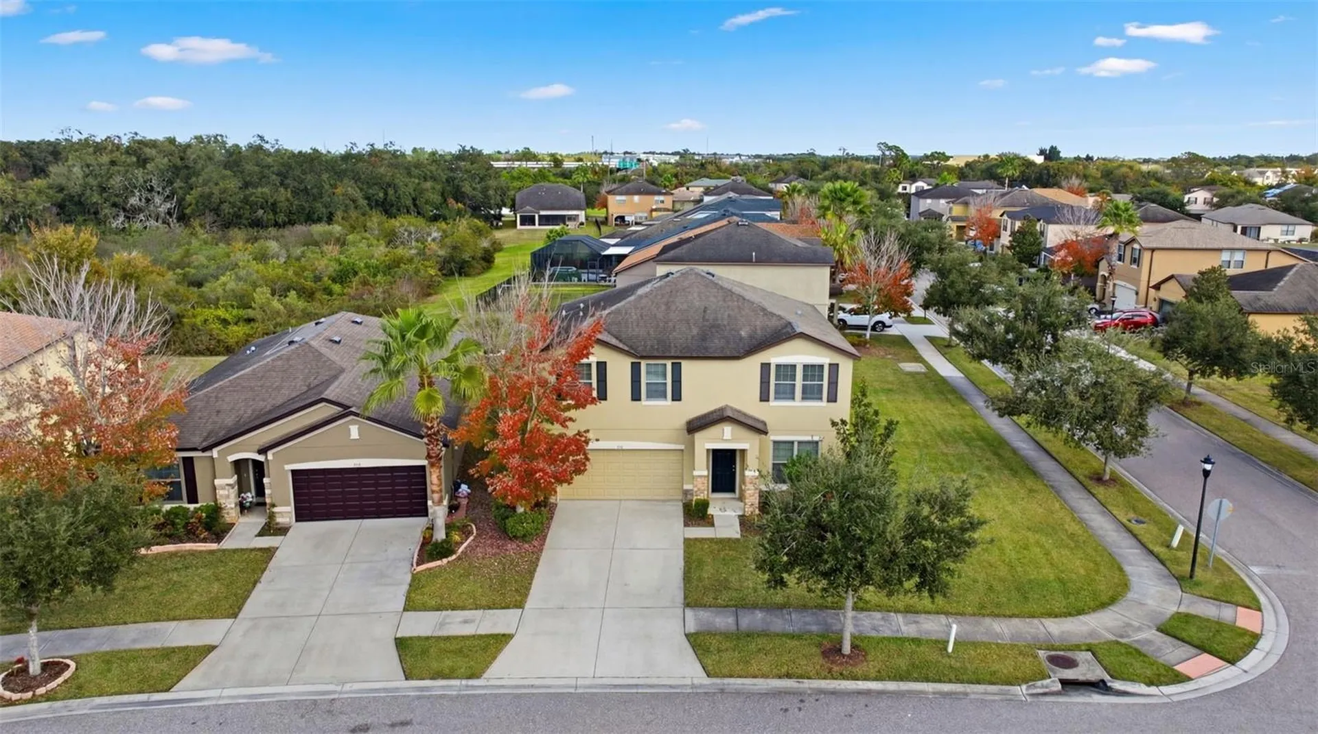 9118 Mountain Magnolia Drive Riverview FL 33578