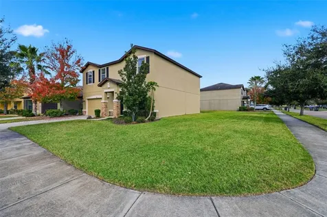 9118 Mountain Magnolia Drive Riverview FL 33578