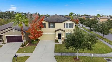 9118 Mountain Magnolia Drive Riverview FL 33578