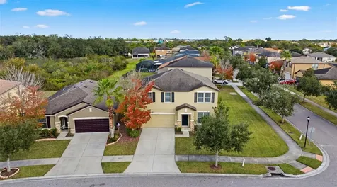 9118 Mountain Magnolia Drive Riverview FL 33578