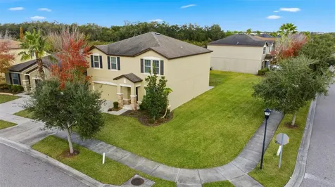 9118 Mountain Magnolia Drive Riverview FL 33578