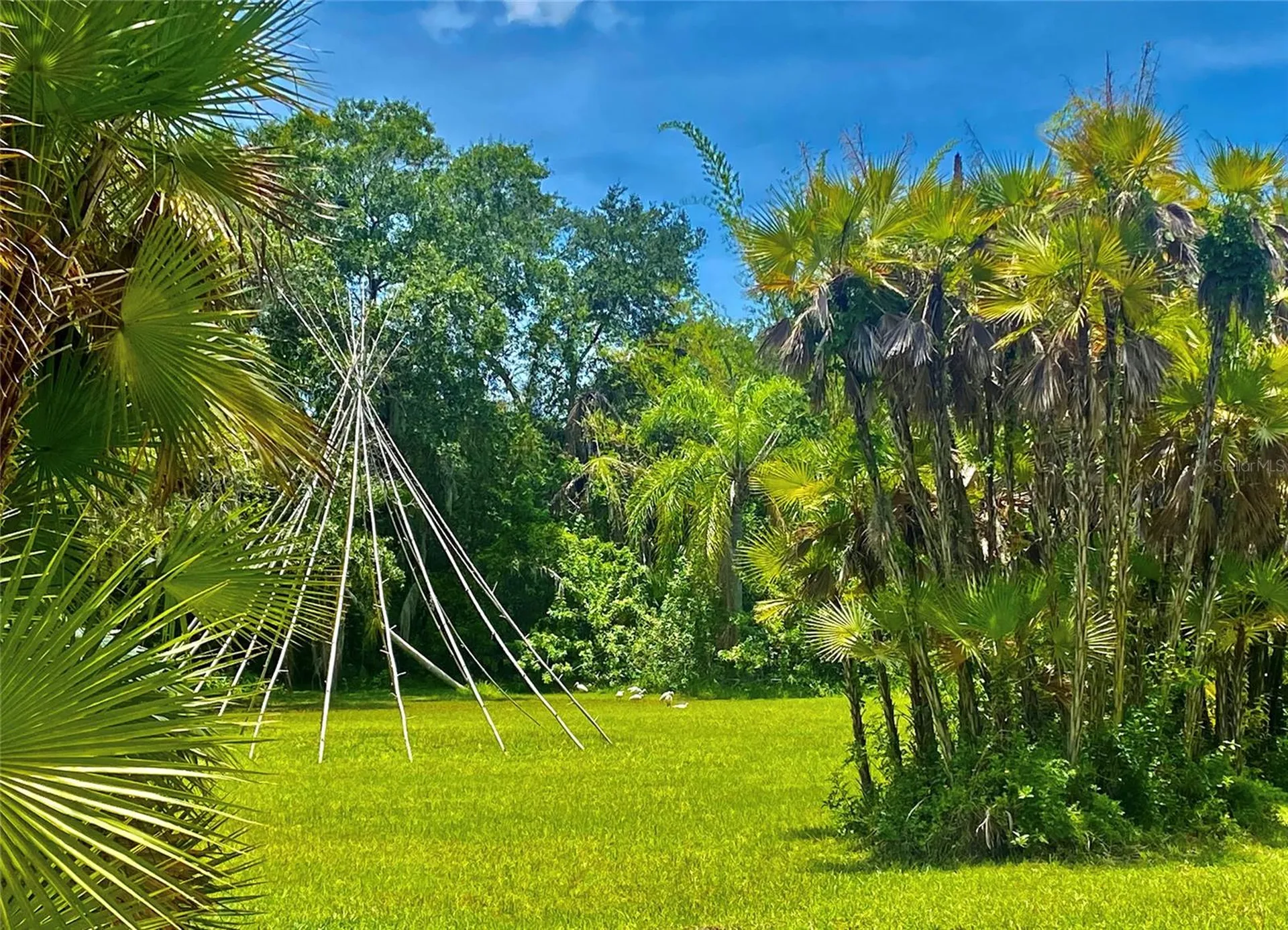 Sarasota FL 34243